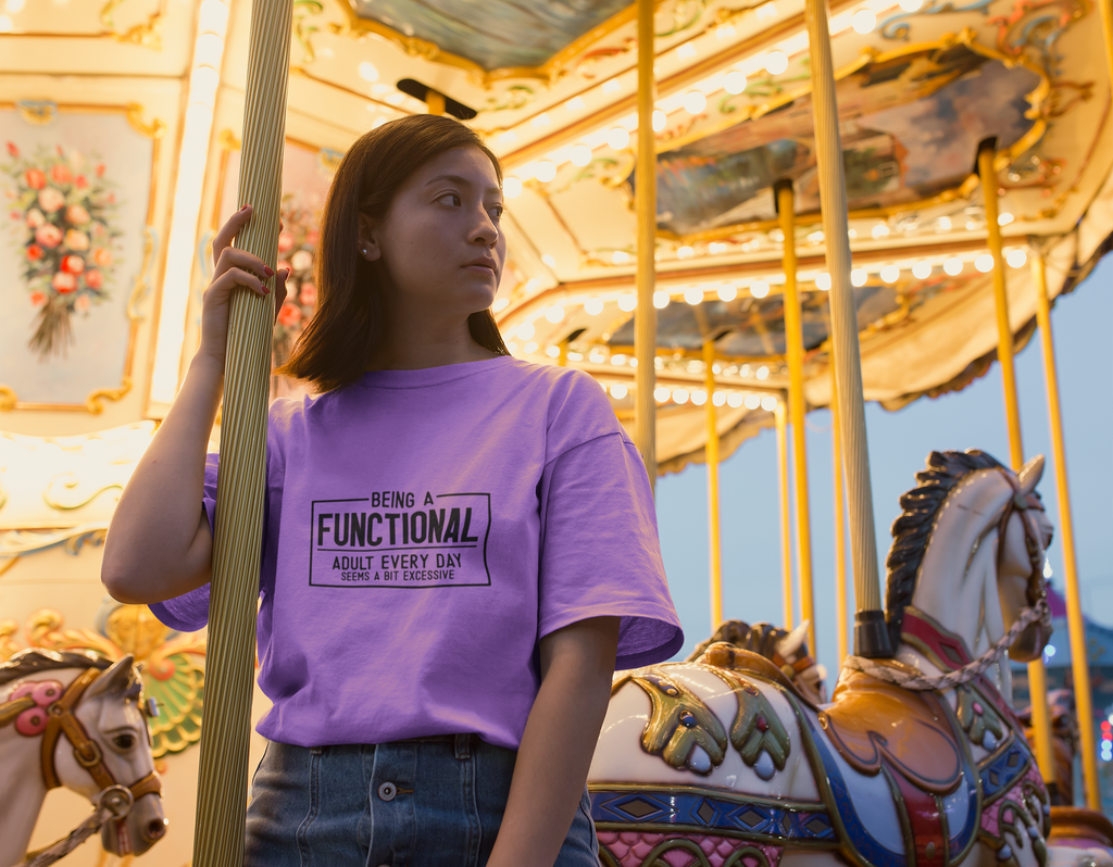 Being A Fuctional Adult Everyday Seems A Bit Excessive Tshirt/Sweatshirt!
