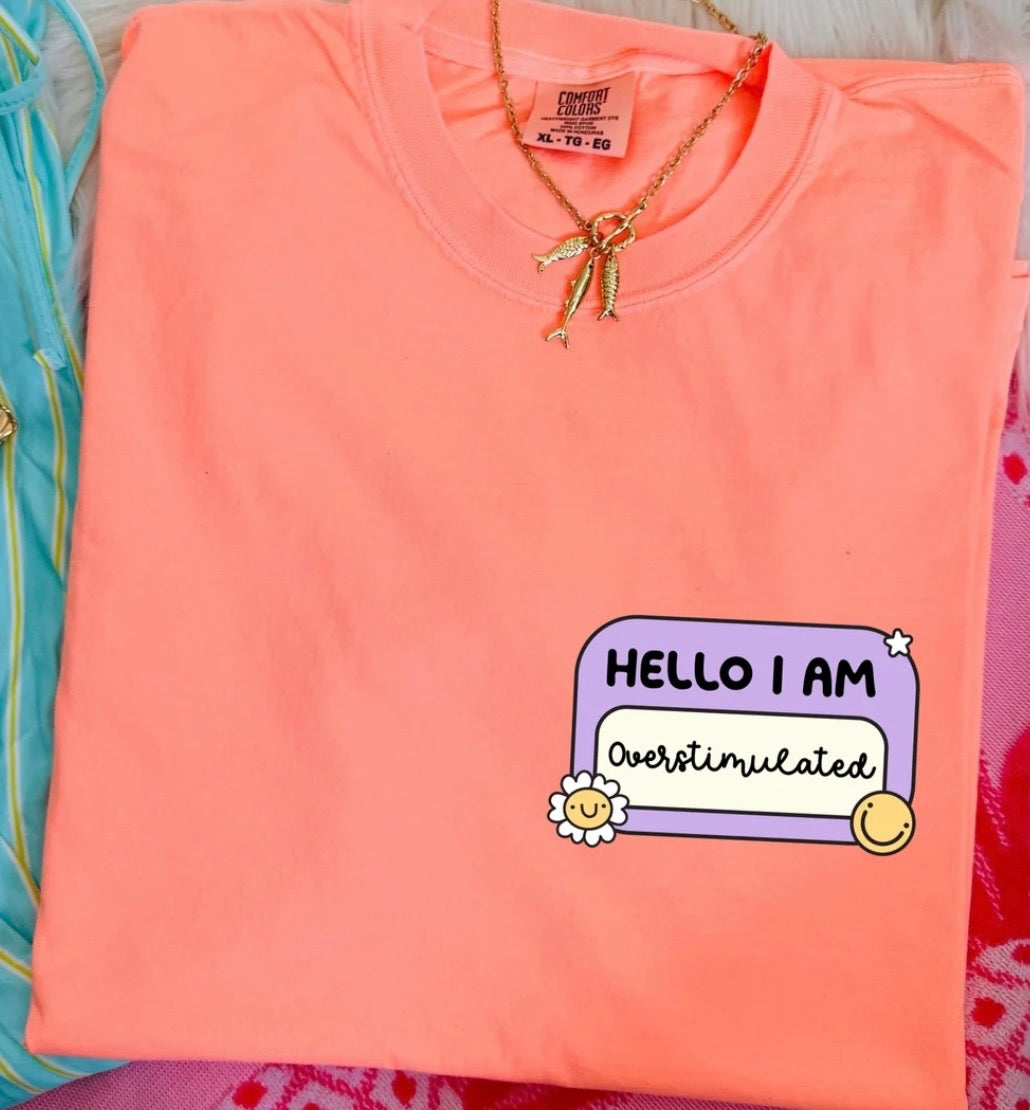 Hello I am Overstimulated Tshirt/Sweatshirt