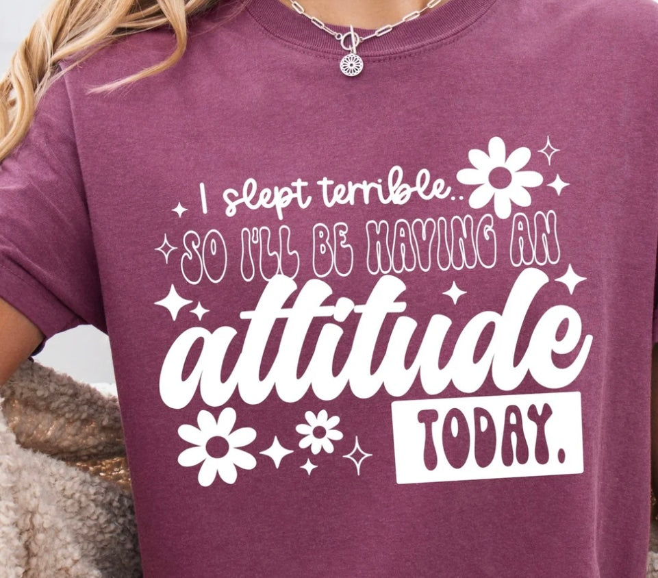 I'll Be Having an Attitude All Day Sweatshirt!