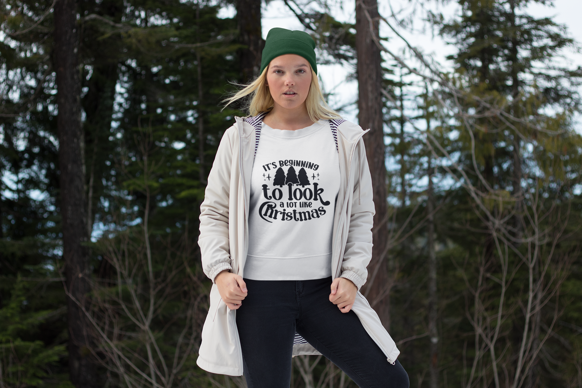 It's Beginning To Look A Lot Like Christmas!