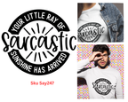 Your Sarcastic Ray of Sunshine Has Arrived Tshirt/Sweatshirt!