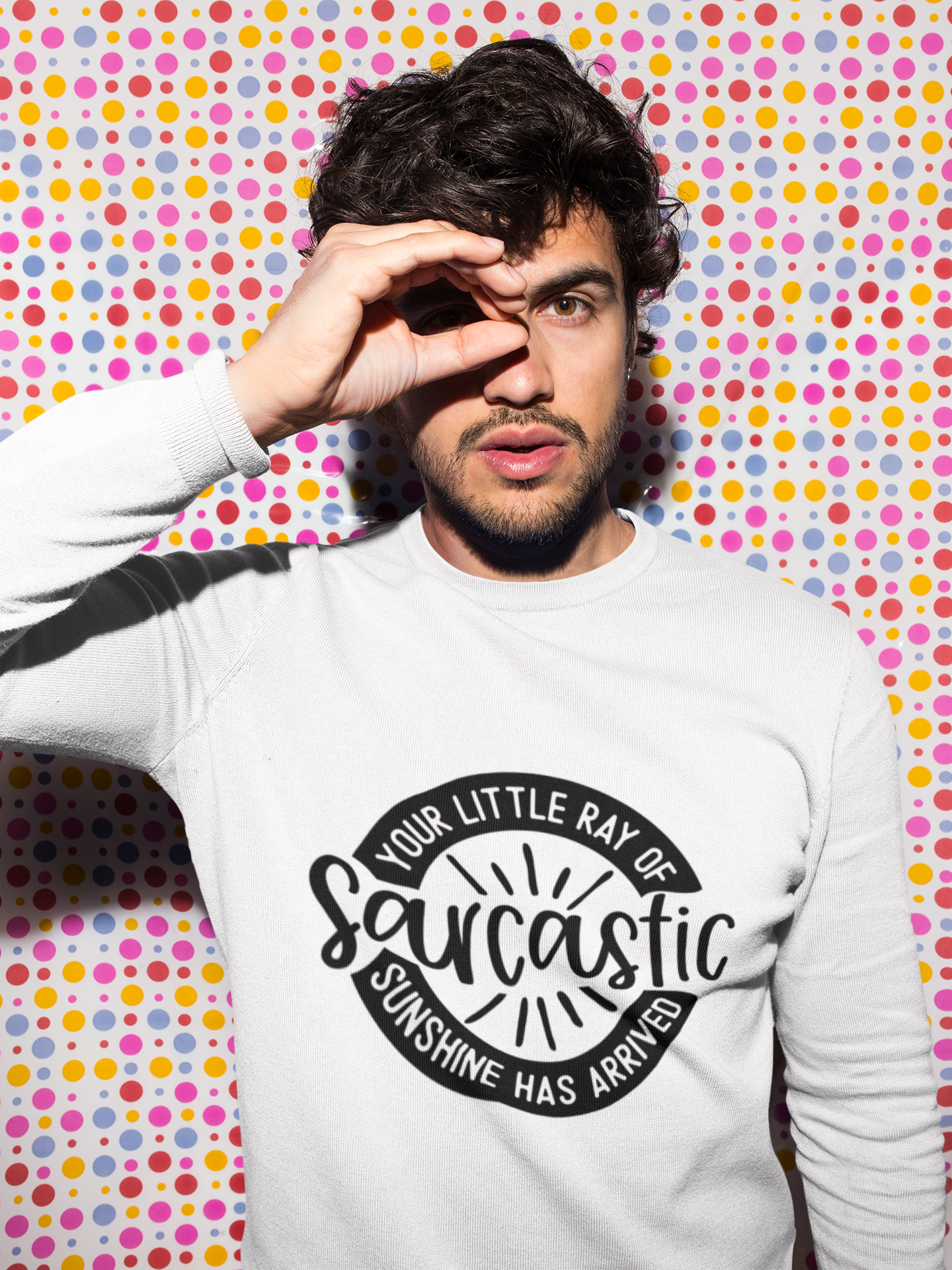 Your Sarcastic Ray of Sunshine Has Arrived Tshirt/Sweatshirt!